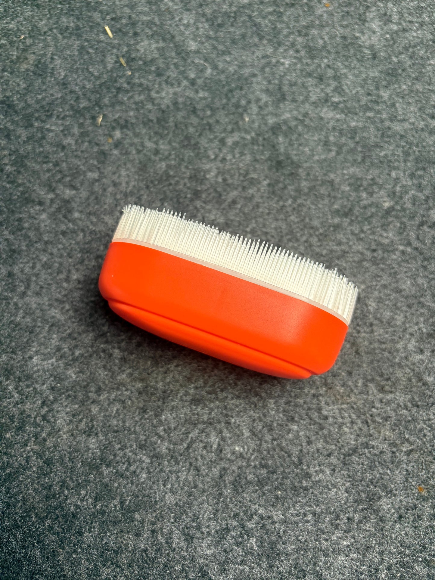 Sensory Brush