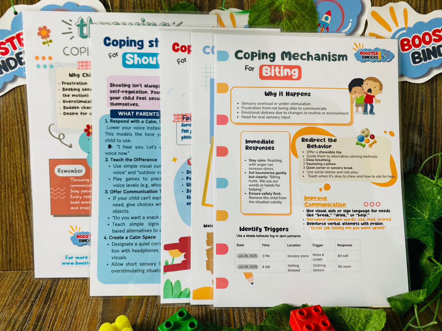Behaviour Support Boards