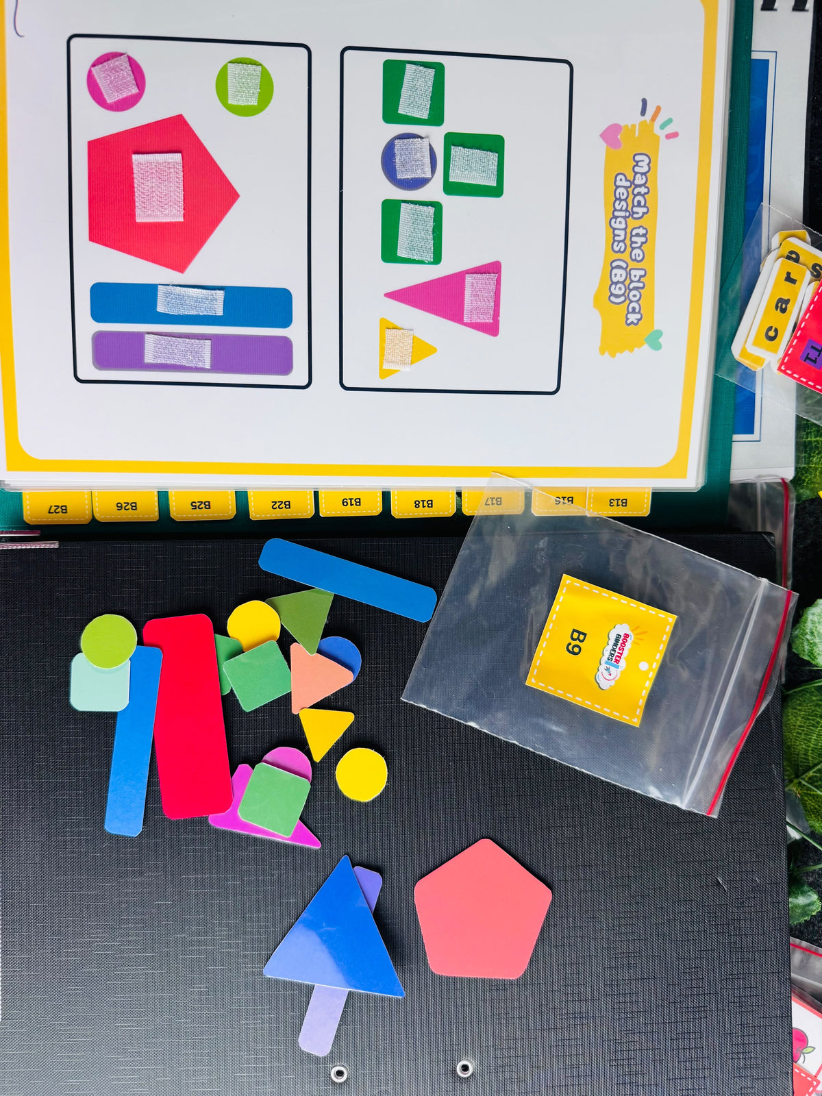 Assessment of Basic Language and Learning Skills (ABLLS-R)