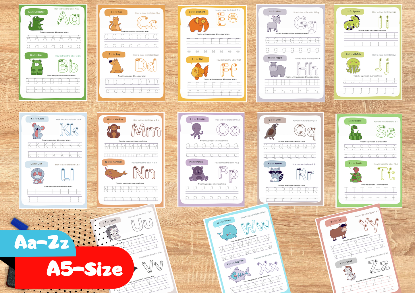 Wipe and Clean Tracing Books