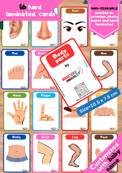 Body Parts Flash Cards