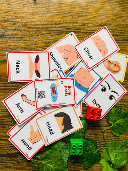 Body Parts Flash Cards