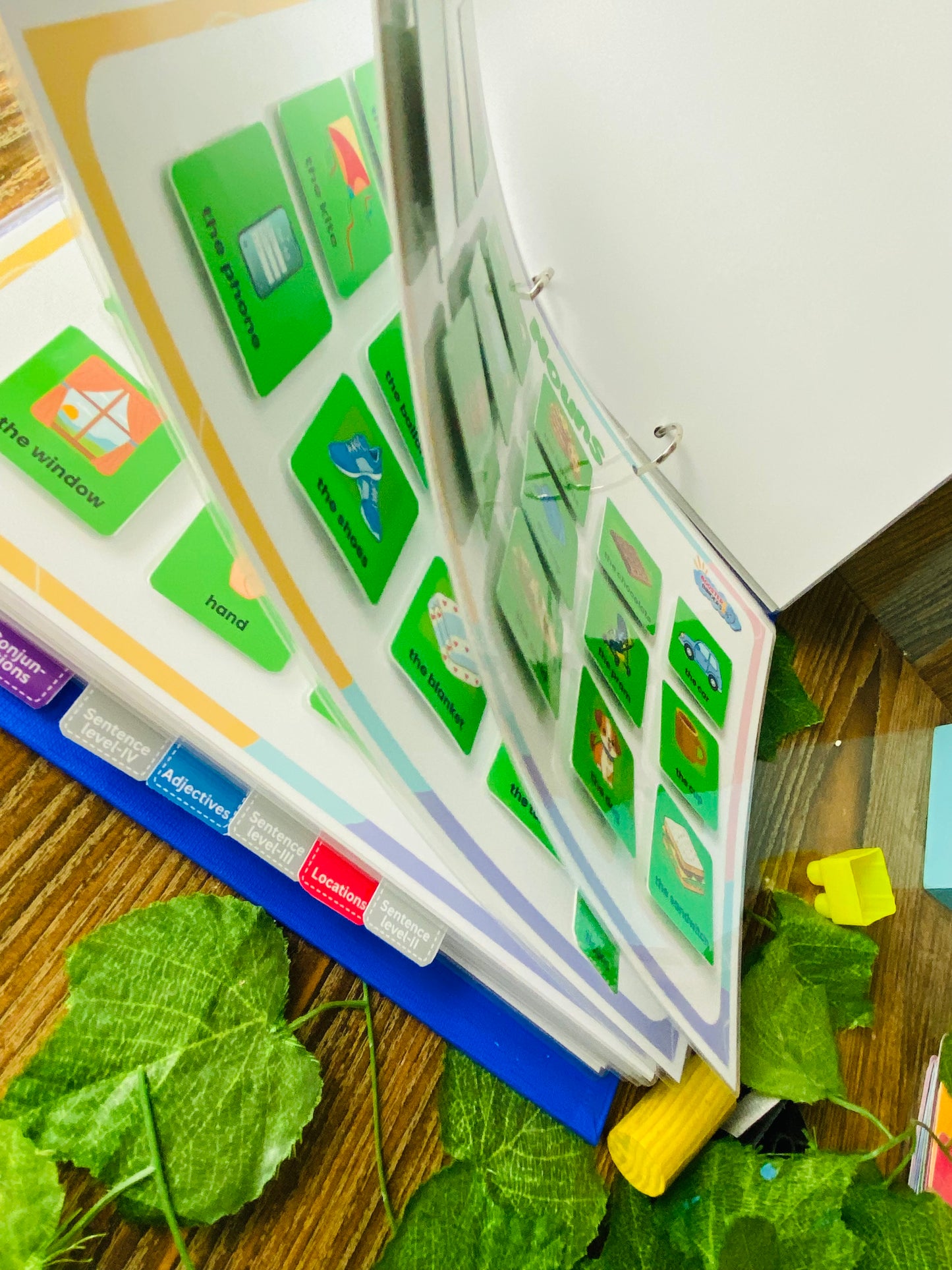 Colorful Semantics Kit for Speech Delay & Autism | Visual Learning for Language