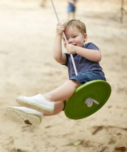 Disc Swings