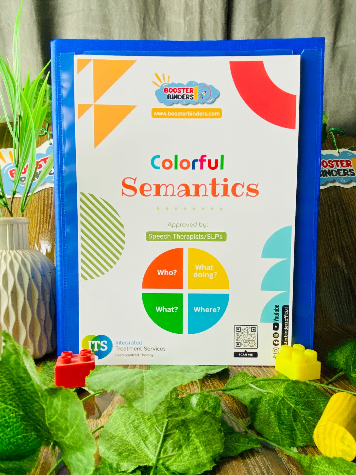 Colorful Semantics Kit for Speech Delay & Autism | Visual Learning for Language