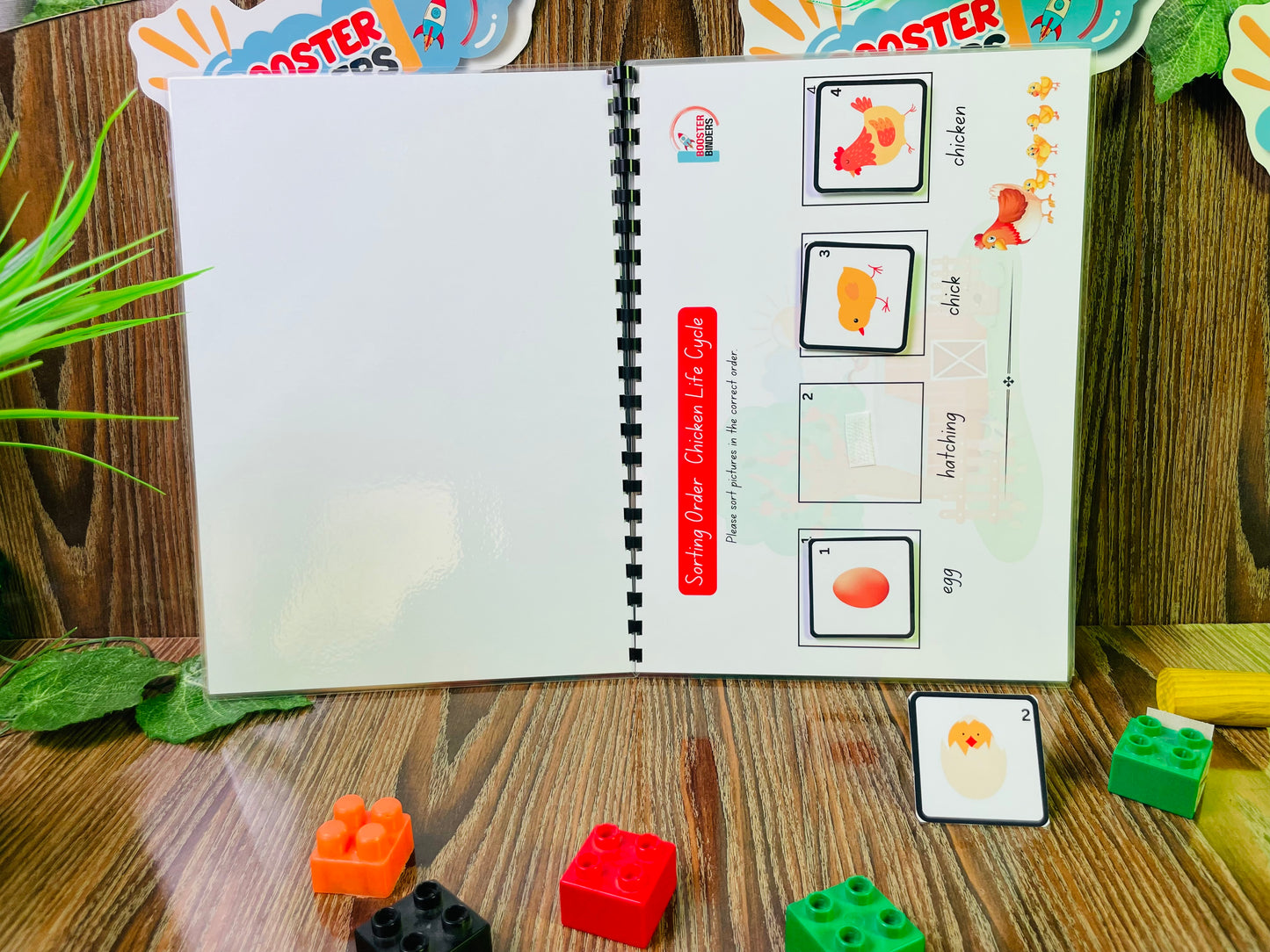 Busy Book (level-IV)