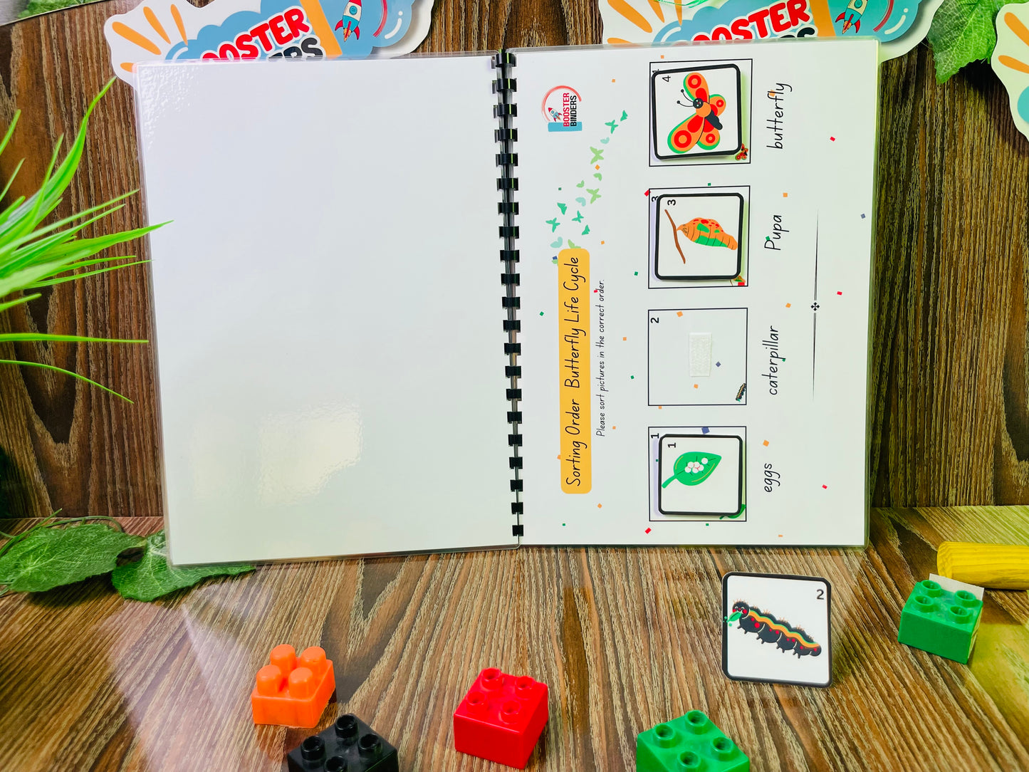 Busy Book (level-IV)