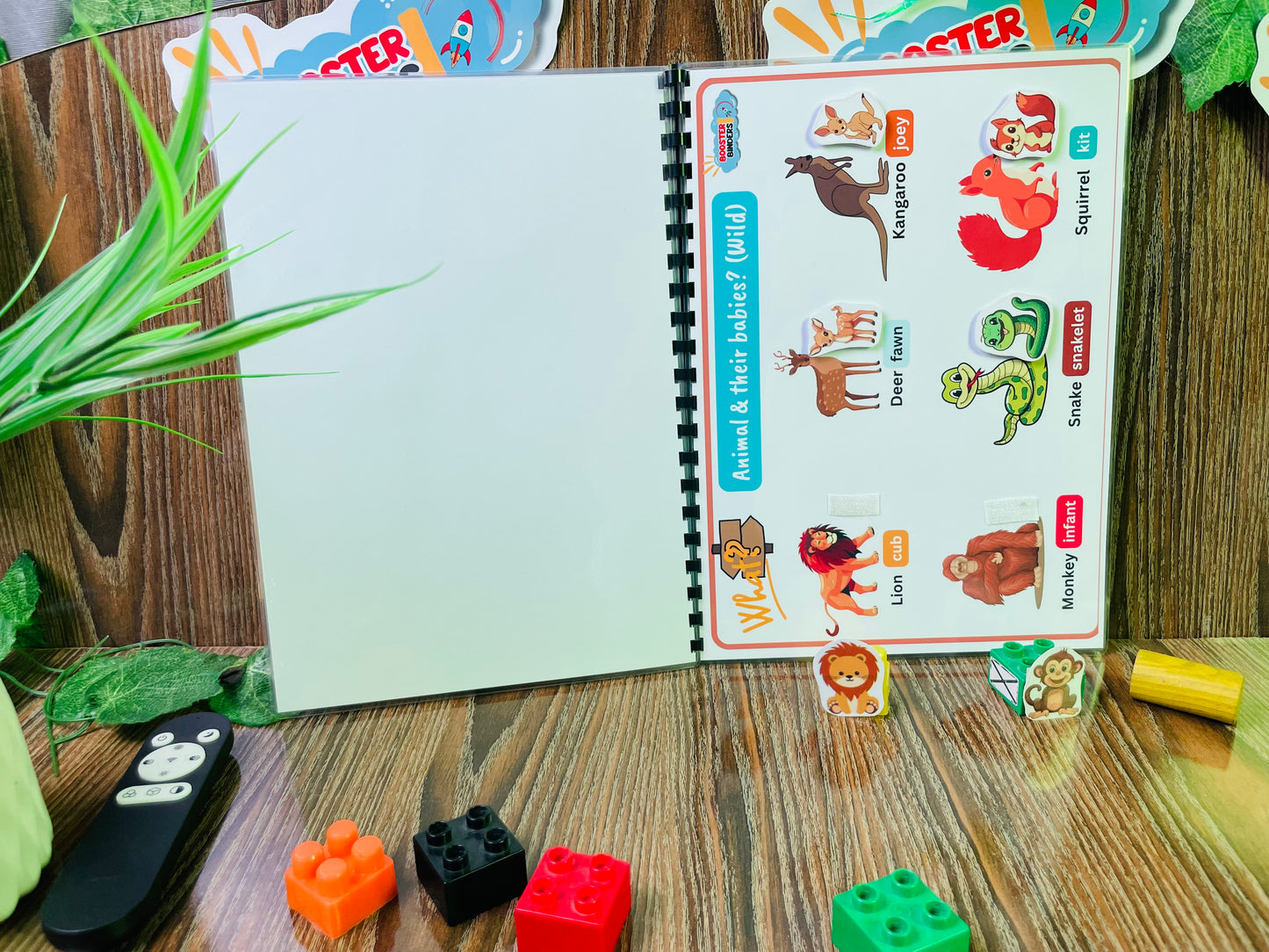 Busy Book (level-IV)