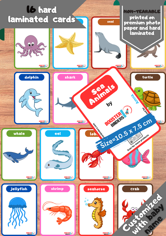 Sea Animals Flash Cards