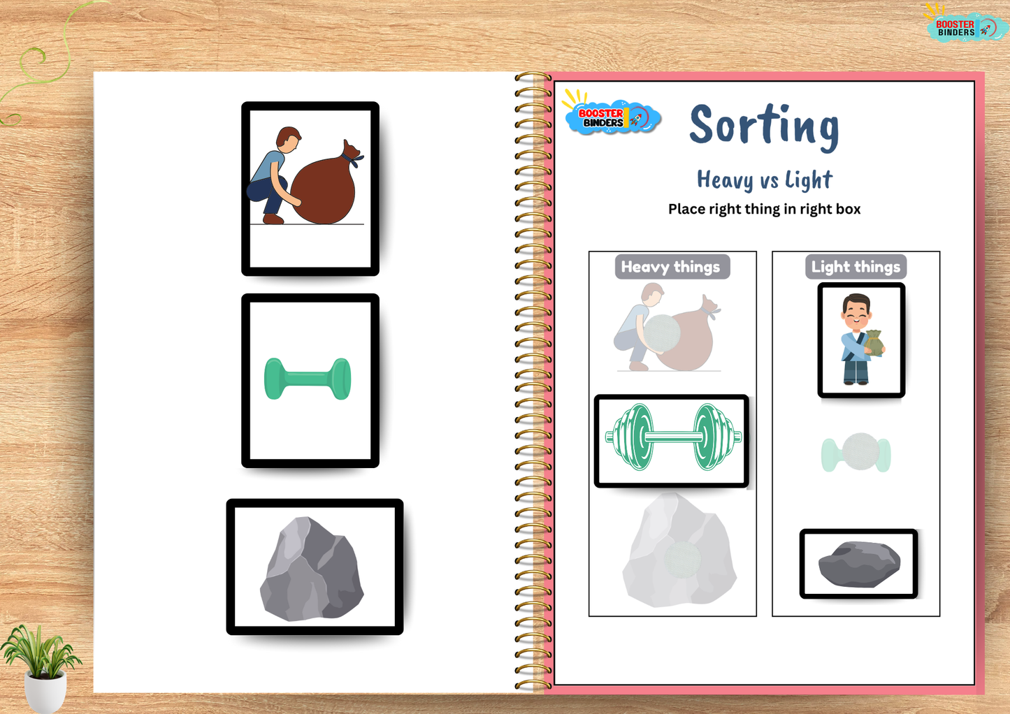 Sorting/Opposite Binder