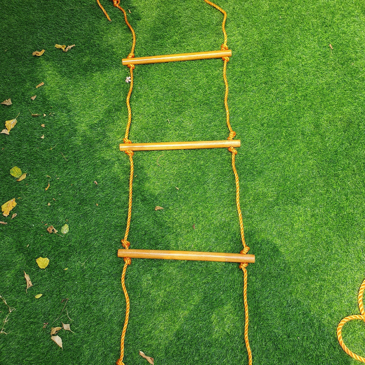 Swing